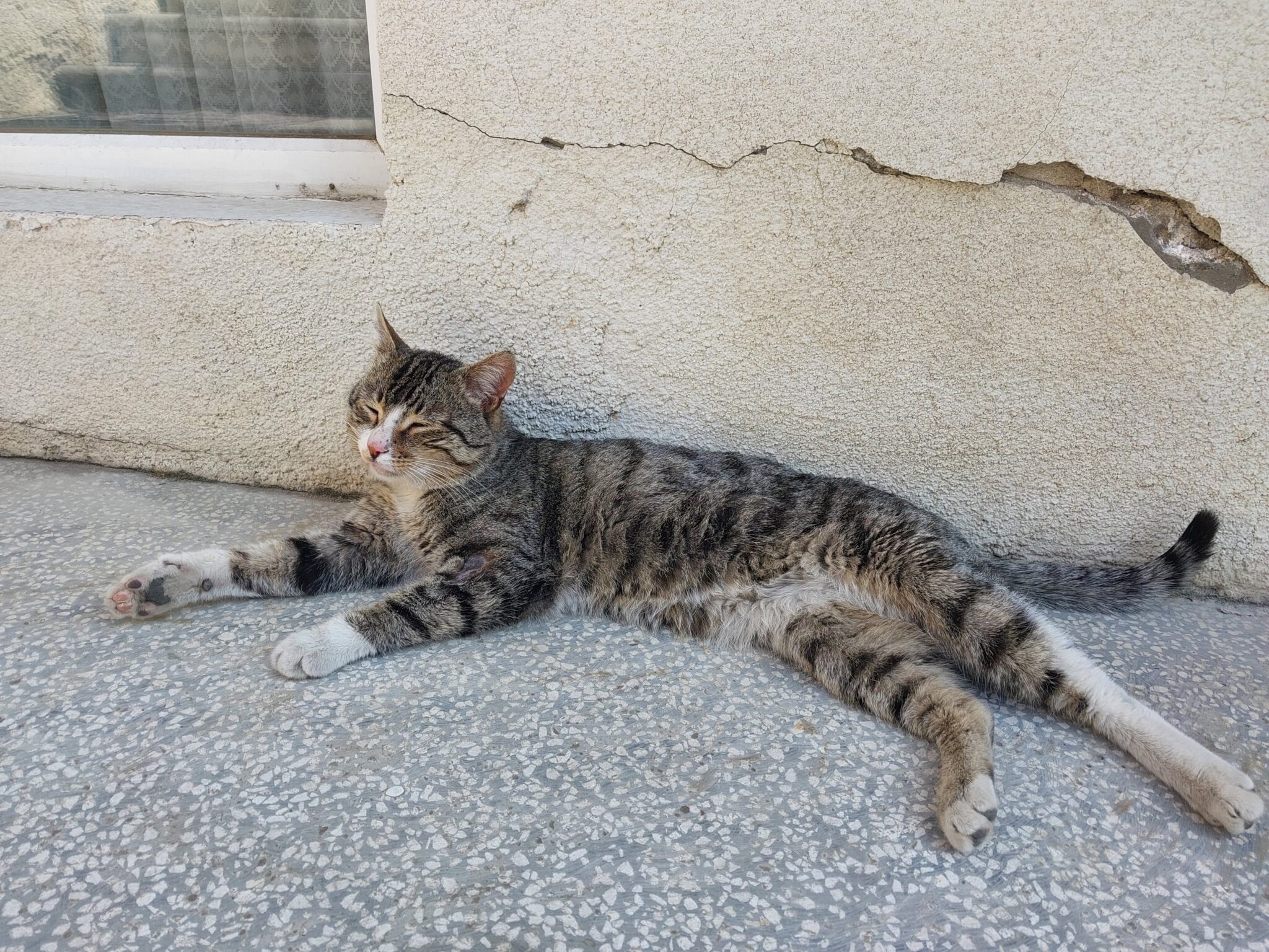 トビリシの日本人宿「コンフォートプラス」【失踪者情報求ム】 異国のおたより